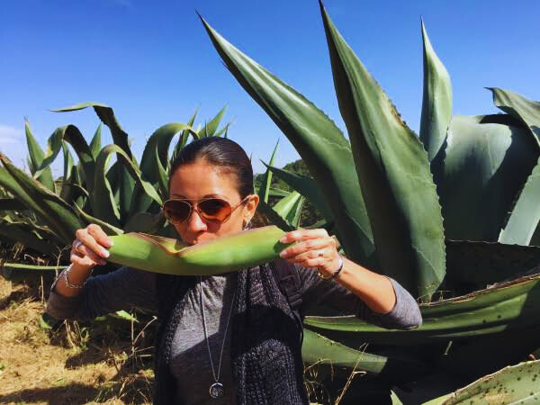 Chica en tour pulquero tomando pulque en una hoja de maguey.