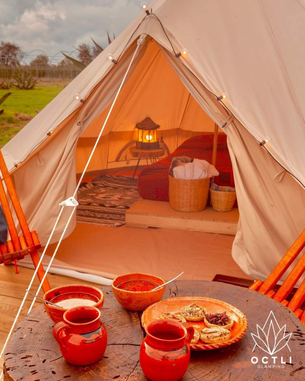 Rentabilidad entre árboles y estrellas: cómo leer el verdadero rendimiento de un glamping en 2026